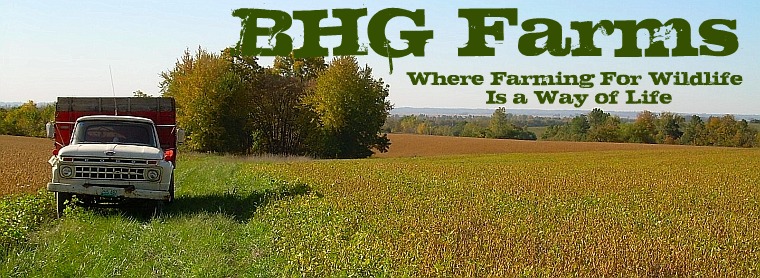 BHG Farms | Wildlife Farming | Hunting Outfitter | Whitetail Deer Hunting | Turkey Hunting